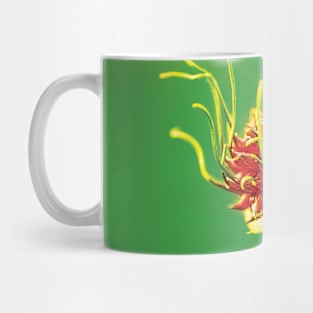 Wild Garlic - Allium vineale Mug